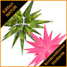 SONDEREDITION Herrnhuter ® Sterne