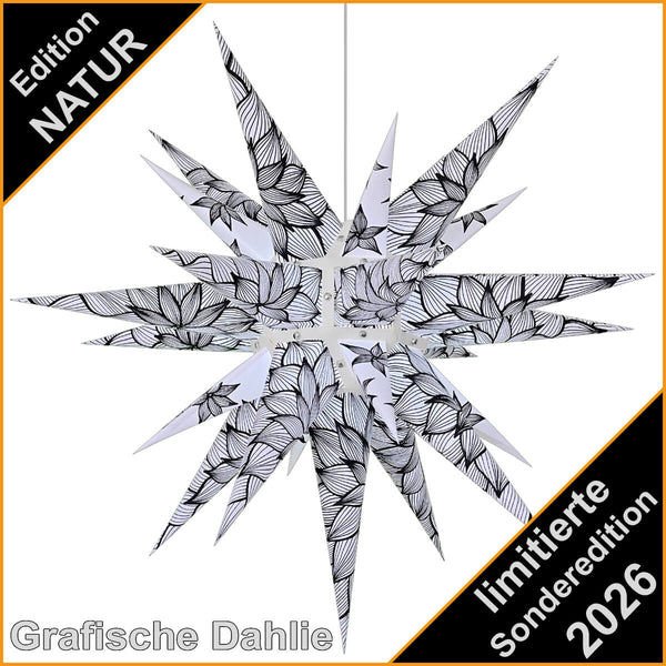 Herrnhuter Stern Edition Natur 60 cm – Grafische Dahlie, schwarz‑weißes florales Motiv, Sonderedition 2026, Papierstern für Innen