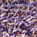 Räucherkräuter - LAVENDEL - Lavandula angustifolia - Lavendelblüten 1A
